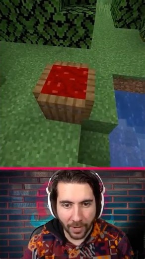 I Discovered Minecraft's Best Build Hack