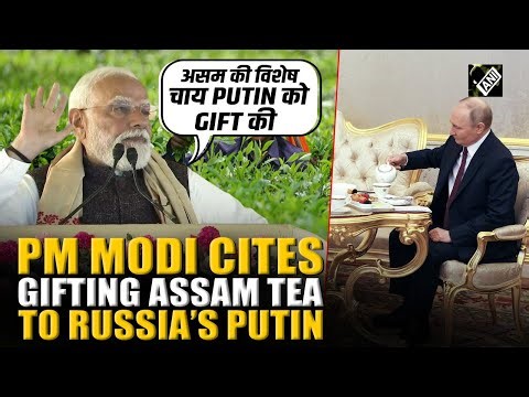 PM Modi: BJP Raised Assam’s Prestige, Gifted Assam Tea to Putin, Congress Insulted Bhupen Da