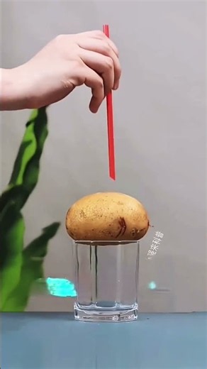 🧪 Science Experiments That Amaze! 🔬✨