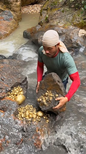 😱 He Found THIS Hidden Under the Rocks!