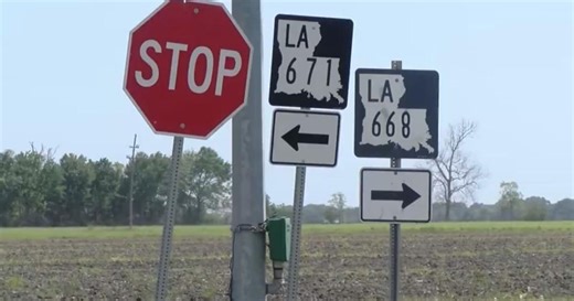 Wanted driver dies in New Iberia police chase crash