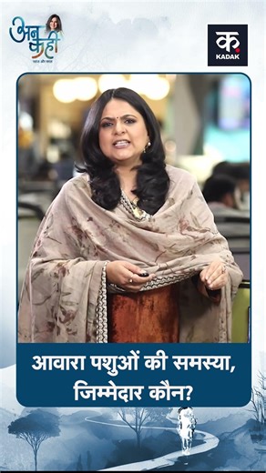 SC On Stray Dogs: लगातार बढ़ रही आवारा पशुओ की समस्या ज़िम्मेदार कौन ?#shorts