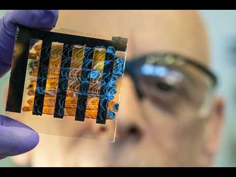 Revolutionary Neurobots: Bio-Robots with Self-Organized Nervous Systems | Future of Bioengineering