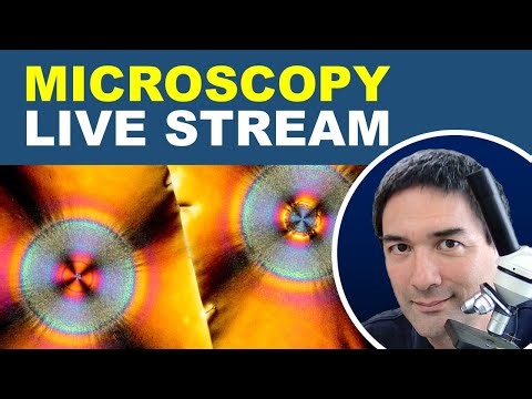 🔬 Microscopy Livestream