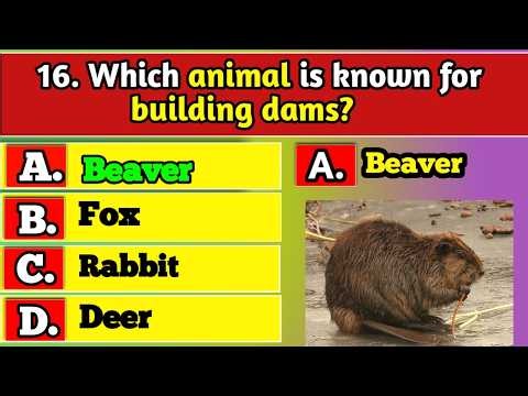 General Knowledge Trivia Quiz | Test Your Brain with Fun Questions & Ultimate Challenge Today!