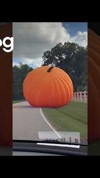 Massive Inflatable Pumpkin Escapes Festival and Rolls Down the Street || ViralHog