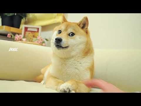 Doge sounds (meme)