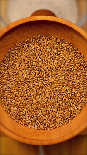 Authentic Fresh Pasta: Making it from Scratch