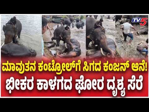 Elephants Fighting at Dubare | ಮಾವುತನ ಕಂಟ್ರೋಲ್​ಗೆ ಸಿಗದ ಕಂಜನ್ ಆನೆ!ಭೀಕರ ಕಾಳಗದ ಘೋರ ದೃಶ್ಯ ಸೆರೆ