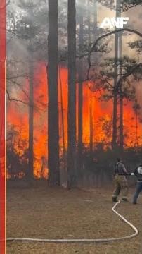 Georgia drought fuels wildfire threat as crews battle 50+ weekend fires