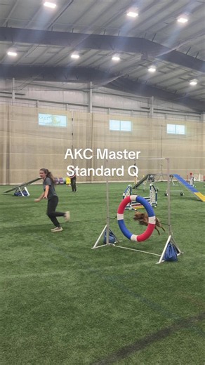 AKC Master Standard Course by Rick Mullen - First Place!