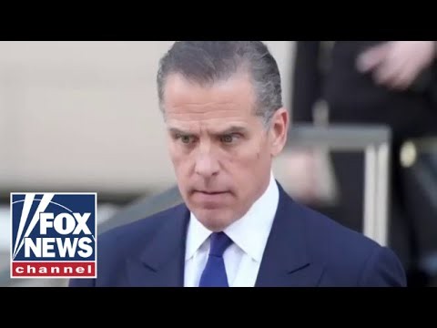 'I DON'T BUY IT': Republican strategist MOCKS Hunter Biden's 'reinvention tour