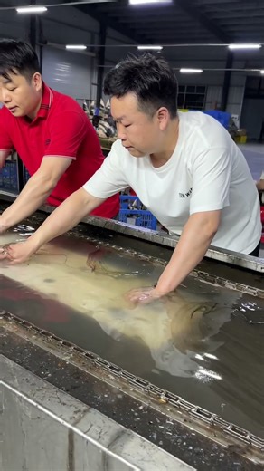 Acrylic large wooden grain water transfer printing