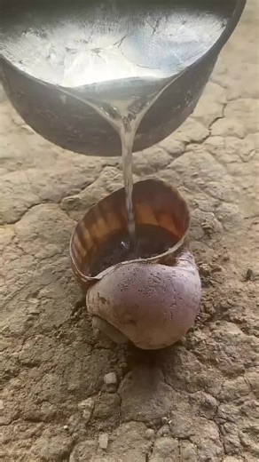 Casting Aluminum at Home Using Snail Shells