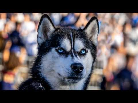 UConn Men's Basketball Postgame Press Conference