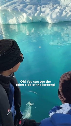 Nothing Could Ever Prepare You for Antarctica | The Dodo