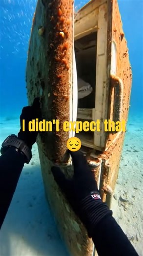 Alligator Gar Attacks 😱 | Caught on Camera #Shorts