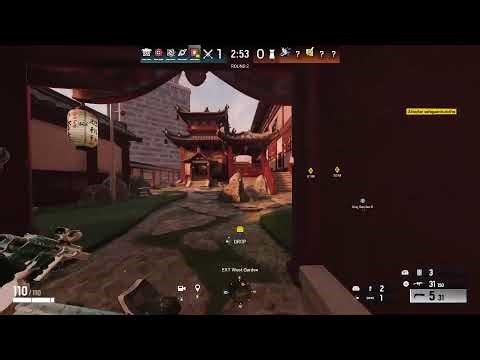 Rainbow six siege live steam