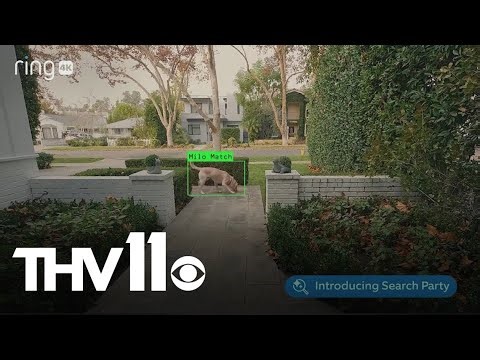 New Ring doorbell AI feature raises privacy concerns
