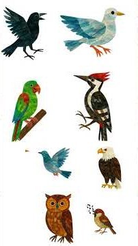Bald Eagle Bald Eagle What Do You Hear? | Learn About Birds | Eric Carle Inspiration | Sparrow