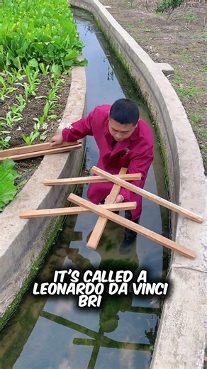No Screws, No Glue — How Physics Built This Bridge.