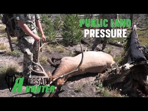 Public Land Pressure: Elk in Colorado