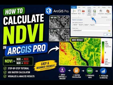How to Calculate NDVI in ArcGIS Pro (Step-by-Step)