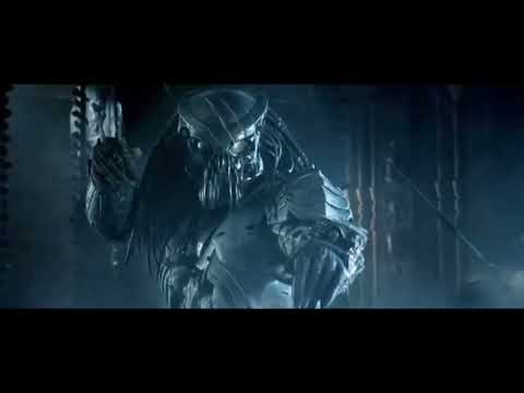The Predator fight scene| Alien vs Predator movie scenes