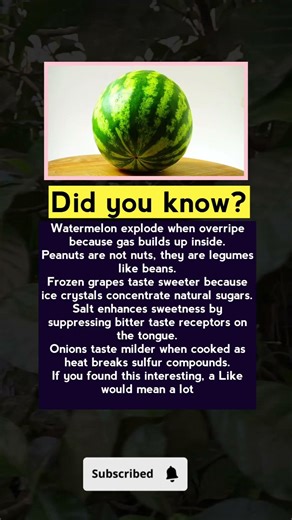 Why Some Watermelons Pop Like Balloons