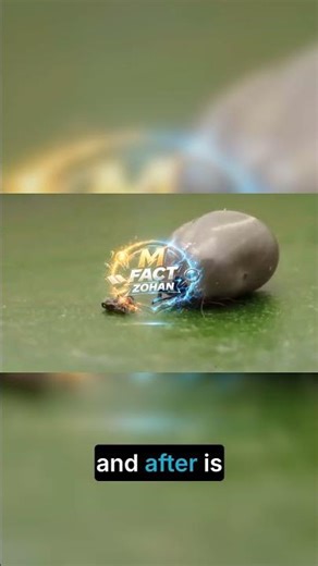 Gross! Tick's Shocking Blood Transformation