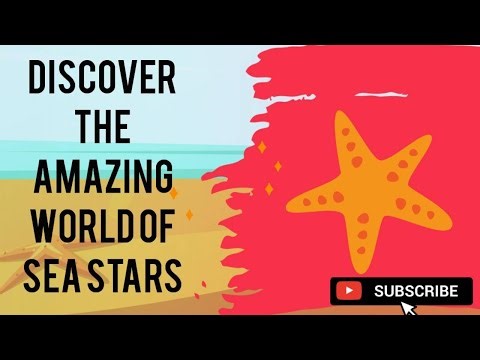 ALIEN STARFISH INVASION?! We Found Them HIDING!