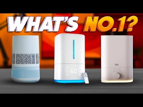 Best Air Humidifiers 2026 [Wait Until You See What’s #1]