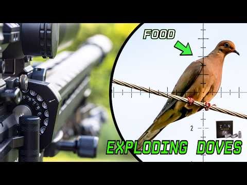 Exploding doves | FX Panthera MKII | 33gr ZAN Slugs | PCP Airgun | Hunting for food #fxairguns
