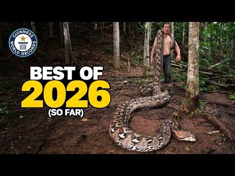 Best of 2026 (so far!) | Guinness World Records
