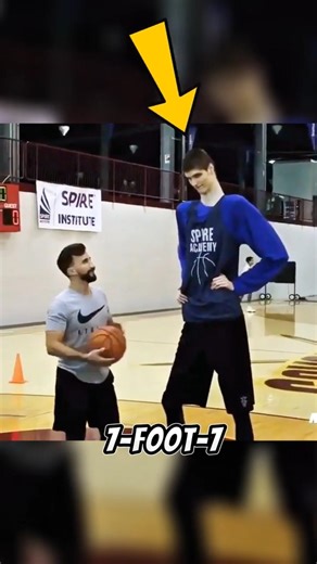 The 7’7 Viral Basketball Prodigy Who Became an Alien Monster 😳