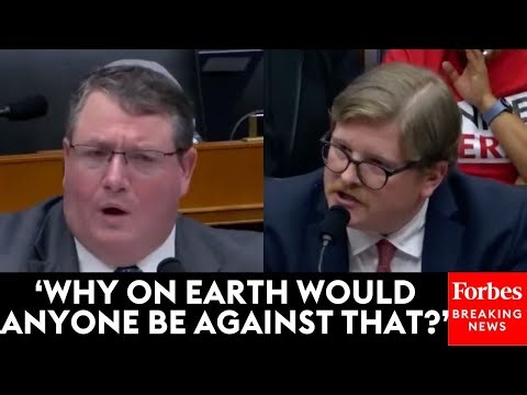 'I Think Something Doesn't Smell Right': Randy Fine Shows No Mercy To Expert Over Union Elections