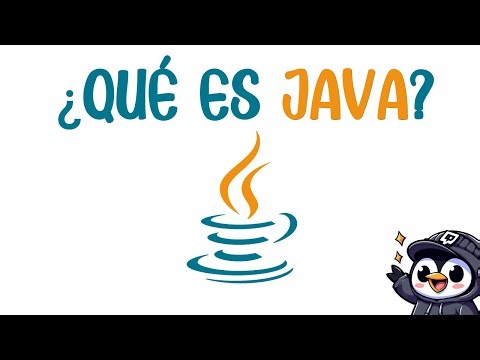 El lenguaje de programación favorito de las empresas | Radudev