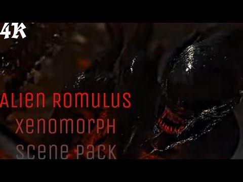 Alien Romulus Xenomorph 4K Ai Upscaled Scene Pack