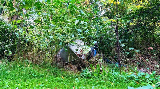Extreme Yard Makeover: Clearing an Overgrown Property with Powerful Wood Chipper!