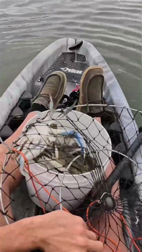 The Crabs Escaped… Into My Kayak! 😂 #crabbing