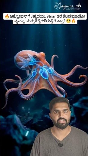 3 Hearts, 8 Arms, 9 Brains 😳 Octopus is Not Normal! 🐙 #shorts #wildlife
