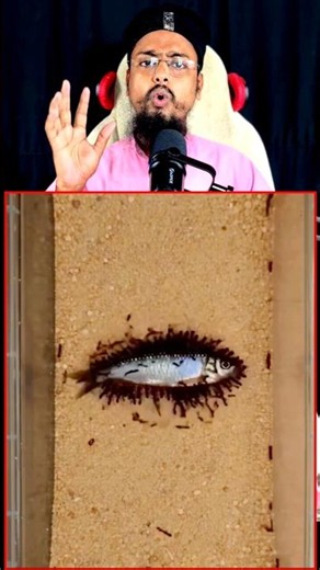 The Big Difference Between Humans and Ants 🐜🧠 😱 #shorts #motivation #viral #human #ant #rich