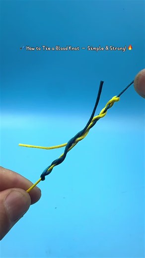 🎣 How to Tie a Blood Knot — Simple & Strong! 🔥#fishinglife #angler #fishing #diy ##lure
