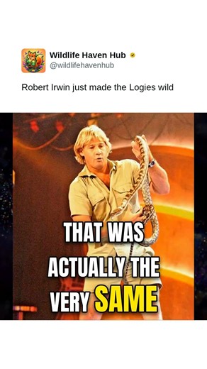 Robert Irwin just made the Logies wild