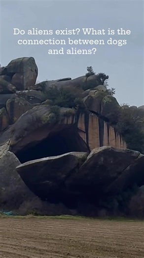 Aliens traveling to their planet in spaceships for the Christmas holidays left a farmer's dog as a guard in the cave where they were hiding. The Canadian farmer, who had been searching for his lost dog for months, cried with joy at the sight he accidentally discovered while planting his field. #christmas #travel #canada #field #dog | Defineye Giden Yol - The way to The Treasure