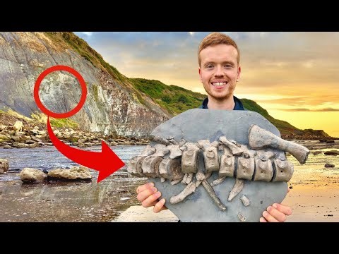 Plesiosaur Spine! We Searched A Landslide For Fossils! 