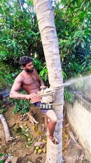 This Tool Controls Falling Trees! 😱