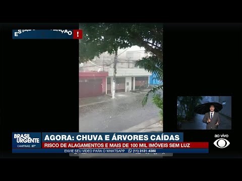 Chuva e árvores caídas em São Paulo | Brasil Urgente