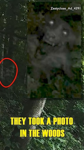 WEREWOLF Caught on Camera?