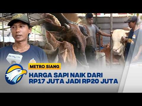Jelang Idul Adha 2026, Harga Hewan Kurban Meroket [Metro Siang]